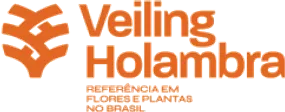 Veiling Holambra